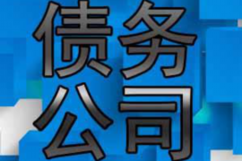 原阳原阳的要账公司在催收过程中的策略和技巧有哪些？