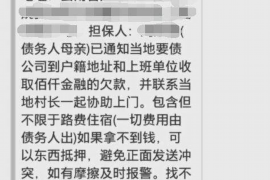 原阳为什么选择专业追讨公司来处理您的债务纠纷？